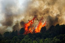 Serbia kërkon ndihmën e Rusisë për luftimin e zjarreve Serbia kërkon ndihmën e Rusisë për luftimin e zjarreve