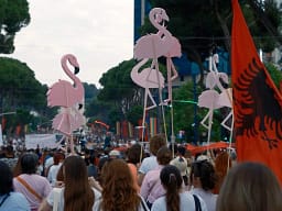 Çfarë po e mban gjallë protestën në Shqipëri? Çfarë po e mban gjallë protestën në Shqipëri?