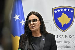 LDK-VV në bisedime, por pa ndarje postesh, Lushaku-Sadriu: Jemi në fazën fillestare LDK-VV në bisedime, por pa ndarje postesh, Lushaku-Sadriu: Jemi në fazën fillestare