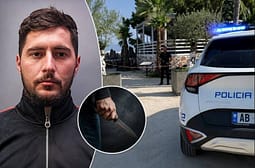 Vrasja e turistit portugez, Policia në kërkim të Gjanës dhe pronarit të “Principotes”, kontrolle në Vorë, Kukës e Tiranë Vrasja e turistit portugez, Policia në kërkim të Gjanës dhe pronarit të “Principotes”, kontrolle në Vorë, Kukës e Tiranë