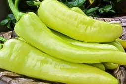 Bullgaria do të asgjësojë 9.5 tonë speca nga Maqedonia e Veriut, për shkak të pesticideve Bullgaria do të asgjësojë 9.5 tonë speca nga Maqedonia e Veriut, për shkak të pesticideve