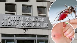 Ethet e Nilit Perëndimor në Kosovë – si transmetohet virusi, cilat janë simptomat dhe kur duhet kërkuar ndihmë? Ethet e Nilit Perëndimor në Kosovë – si transmetohet virusi, cilat janë simptomat dhe kur duhet kërkuar ndihmë?