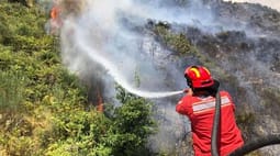 18 vatra zjarri në Shqipëri, pesë aktive 18 vatra zjarri në Shqipëri, pesë aktive