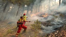 Situata e zjarreve në Shqipëri, raportohen 20 vatra, 4 prej tyre mbeten aktive Situata e zjarreve në Shqipëri, raportohen 20 vatra, 4 prej tyre mbeten aktive