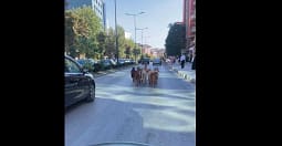 Tufa e dhive e prish rutinën e trafikut mbrapa Teatrit, marshon nëpër rrugën kryesore Tufa e dhive e prish rutinën e trafikut mbrapa Teatrit, marshon nëpër rrugën kryesore