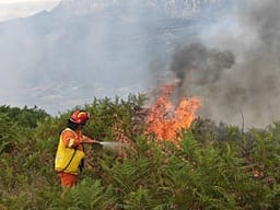 21 vatra zjarri në Shqipëri -11 ende aktive, 3 të tjera në monitorim 21 vatra zjarri në Shqipëri -11 ende aktive, 3 të tjera në monitorim