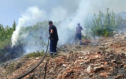 Shqipëri: 14 vatra zjarri në 10 orët e fundit, 7 mbeten ende aktive Shqipëri: 14 vatra zjarri në 10 orët e fundit, 7 mbeten ende aktive