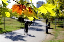 Mëngjes i freskët, ditë me diell – parashikimi i motit për sot Mëngjes i freskët, ditë me diell – parashikimi i motit për sot