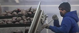 Lufta boshatis fabrikat: Rusia dhe Ukraina importojnë punëtorë nga Azia Jugore Lufta boshatis fabrikat: Rusia dhe Ukraina importojnë punëtorë nga Azia Jugore