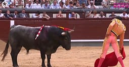 Pamje të rënda, demi plagos toreadorin në Madrid Pamje të rënda, demi plagos toreadorin në Madrid