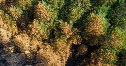 Në Prishtinë hapet ekspozita “Mbrojtja nga Zjarri në natyrë Përmes Fotografisë Tuaj” Në Prishtinë hapet ekspozita “Mbrojtja nga Zjarri në natyrë Përmes Fotografisë Tuaj”