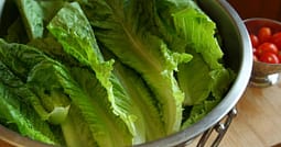 Paraziti që përhapet përmes ushqimit godet ShBA-në, raportohet për dy vdekje Paraziti që përhapet përmes ushqimit godet ShBA-në, raportohet për dy vdekje