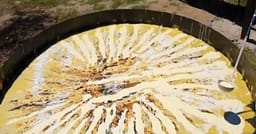 Festivali i Flisë sjell shijen dhe trashëgiminë e Malësisë Festivali i Flisë sjell shijen dhe trashëgiminë e Malësisë