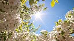 Moti për ditën e sotme, temperatura shkon deri në 36°C Moti për ditën e sotme, temperatura shkon deri në 36°C