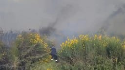 Zjarr në Vlorë, era e fortë përhap me shpejtësi flakët në kodra dhe zonat me ullishte Zjarr në Vlorë, era e fortë përhap me shpejtësi flakët në kodra dhe zonat me ullishte