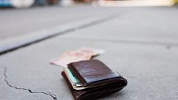 E mitura gjen kuletën me 2000 euro në Mitrovicë, e dorëzon në polici E mitura gjen kuletën me 2000 euro në Mitrovicë, e dorëzon në polici