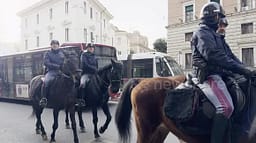 Kaos në Romë, dhjetëra kuaj ushtarakë dalin jashtë kontrollit, pesë të plagosur Kaos në Romë, dhjetëra kuaj ushtarakë dalin jashtë kontrollit, pesë të plagosur
