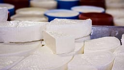 Mashtrim me përmbajtjen e produkteve të qumështit, AUV gjobit disa prodhues dhe importues Mashtrim me përmbajtjen e produkteve të qumështit, AUV gjobit disa prodhues dhe importues
