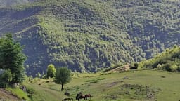 Zhduken dy turistë gjermanë në malin e Polisit në Librazhd, asnjë gjurmë që prej mbrëmjes së djeshme Zhduken dy turistë gjermanë në malin e Polisit në Librazhd, asnjë gjurmë që prej mbrëmjes së djeshme