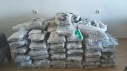 Sekuestrohen 96 kg marijuanë në kufirin greko-shqiptar Sekuestrohen 96 kg marijuanë në kufirin greko-shqiptar