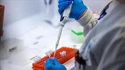 Shpërthimi i dengës në Sri Lanka arrin nivel epidemie, mbi 50 mijë raste të regjistruara Shpërthimi i dengës në Sri Lanka arrin nivel epidemie, mbi 50 mijë raste të regjistruara