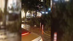 Stuhia prek Sarandën gjatë natës, tre persona lëndohen nga thyerja e xhamave – pema e rrëzuar dëmton veturat Stuhia prek Sarandën gjatë natës, tre persona lëndohen nga thyerja e xhamave – pema e rrëzuar dëmton veturat