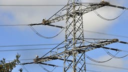 KEDS njofton për prishje të rrjetit elektrik në disa rajone si pasojë e erërave të forta KEDS njofton për prishje të rrjetit elektrik në disa rajone si pasojë e erërave të forta