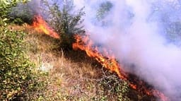 Zjarre aktive ka pranë Makedonski Brod dhe Kumanovës, deponia e qytetit të Delçevës është nën kontroll Zjarre aktive ka pranë Makedonski Brod dhe Kumanovës, deponia e qytetit të Delçevës është nën kontroll