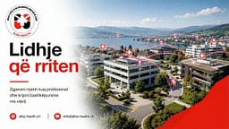 Alba Health bashkon profesionistët e kujdesit në një rrjet të përbashkët në Zvicër Alba Health bashkon profesionistët e kujdesit në një rrjet të përbashkët në Zvicër