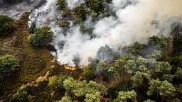 Zjarr masiv në Holandë, flakët përfshijnë 1 mijë hektarë tokë, qindra zjarrfikës në betejë Zjarr masiv në Holandë, flakët përfshijnë 1 mijë hektarë tokë, qindra zjarrfikës në betejë