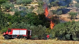 Greqia në alarm: Zjarret vazhdojnë, zjarrfikësit goditen nga vandalët ndërsa shpëtojnë jetë dhe pyje Greqia në alarm: Zjarret vazhdojnë, zjarrfikësit goditen nga vandalët ndërsa shpëtojnë jetë dhe pyje