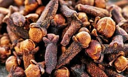 Kuroni diabetin dhe sëmundjet e frymëmarrjes me karafil Kuroni diabetin dhe sëmundjet e frymëmarrjes me karafil