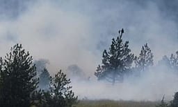 Vatra zjarri në një fshat të Korçës, terreni vështirëson ndërhyrjen e ekipeve Vatra zjarri në një fshat të Korçës, terreni vështirëson ndërhyrjen e ekipeve