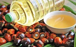 Yndyrat në ushqim, lloji i tyre dhe etiketimi në produkt i vajit të palmës? Shpjegon nutricistja Albulena Shabani Ilazi Yndyrat në ushqim, lloji i tyre dhe etiketimi në produkt i vajit të palmës? Shpjegon nutricistja Albulena Shabani Ilazi