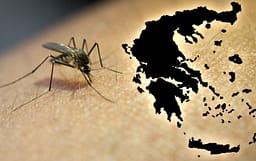 Rriten rastet me virusin e Nilit Perëndimor në Greqi: 6 viktima dhe dhjetëra të shtruar në spital Rriten rastet me virusin e Nilit Perëndimor në Greqi: 6 viktima dhe dhjetëra të shtruar në spital