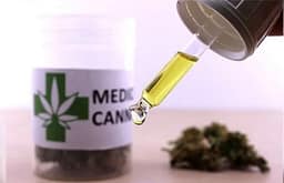 Qeveria shqiptare publikon rregullat e reja për shenjimin e cannabis-it mjekësor Qeveria shqiptare publikon rregullat e reja për shenjimin e cannabis-it mjekësor