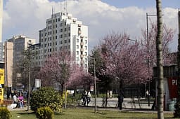 Java sjell mot të ndryshueshëm dhe temperatura deri në 23 gradë Java sjell mot të ndryshueshëm dhe temperatura deri në 23 gradë