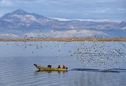 Liqeni i Shkodrës shpallet pasuri e UNESCO-s Liqeni i Shkodrës shpallet pasuri e UNESCO-s