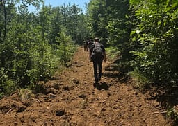 Prokuroria Speciale për gërmimet në Zubin Potok: Hetimet po vazhdojnë në një lokacion të tretë Prokuroria Speciale për gërmimet në Zubin Potok: Hetimet po vazhdojnë në një lokacion të tretë