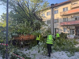 Dëme nga erërat e forta, ekipet emergjente me 17 intervenime në Prishtinë dhe Fushë Kosovë Dëme nga erërat e forta, ekipet emergjente me 17 intervenime në Prishtinë dhe Fushë Kosovë