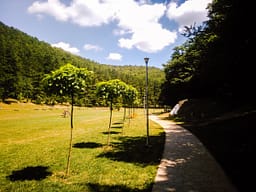 Komuna e Prishtinës njofton për Shërbime Falas Shëndetësore në Germi, çdo të shtunë Komuna e Prishtinës njofton për Shërbime Falas Shëndetësore në Germi, çdo të shtunë