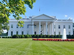 Shtëpia e Bardhë nominon ambasadorë për në Bosnje, Serbi dhe Mal të Zi – për Kosovën ende nuk ka njoftim Shtëpia e Bardhë nominon ambasadorë për në Bosnje, Serbi dhe Mal të Zi – për Kosovën ende nuk ka njoftim