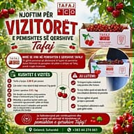 Tafaj & Co hap dyert për vizitorët në pemishten e qershive në Gelancë të Suharekës Tafaj & Co hap dyert për vizitorët në pemishten e qershive në Gelancë të Suharekës