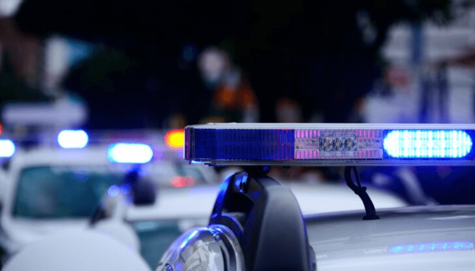 Policia ndalon shtatë shtetase të huaja, ishin duke punuar ilegalisht në një klub nate në Ohër Policia ndalon shtatë shtetase të huaja, ishin duke punuar ilegalisht në një klub nate në Ohër